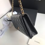 Chanel WOC - Image 6
