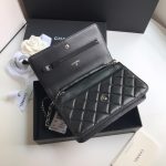 Chanel WOC - Image 7